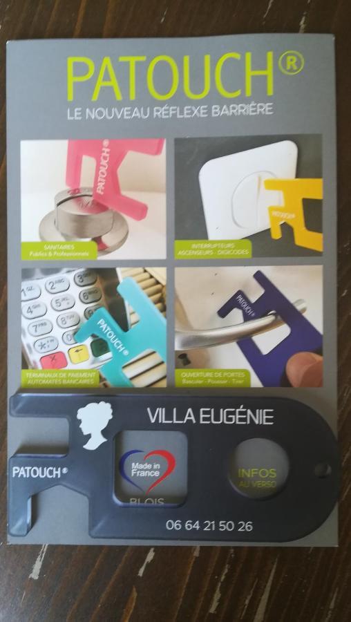 Villa Eugenie Onzain Εξωτερικό φωτογραφία